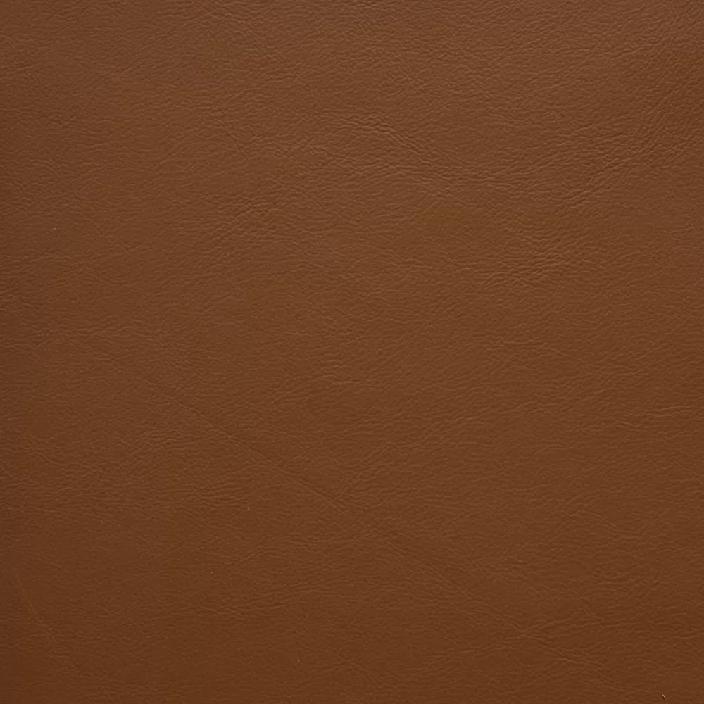 10312 CINNAMON