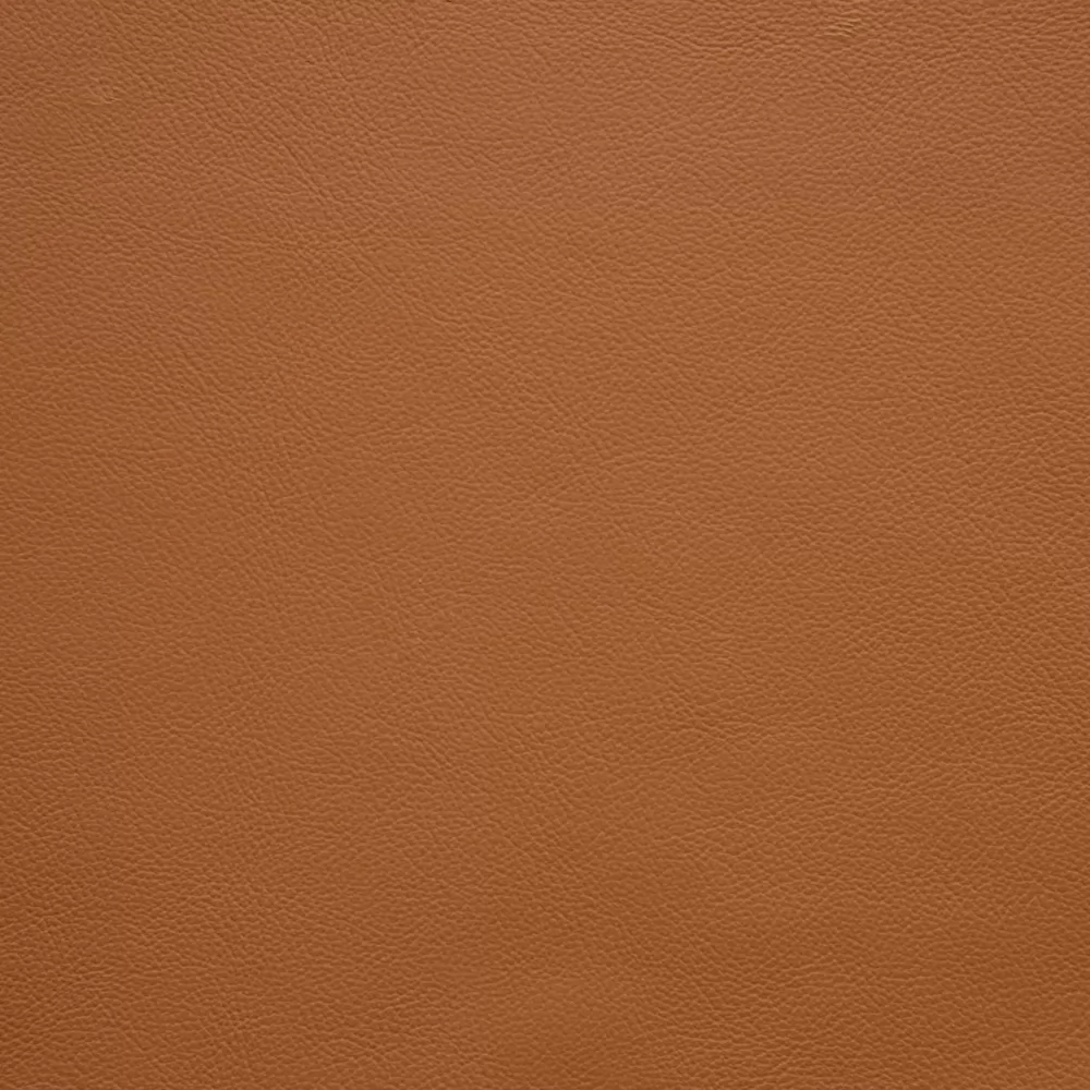 10311 ORANGE