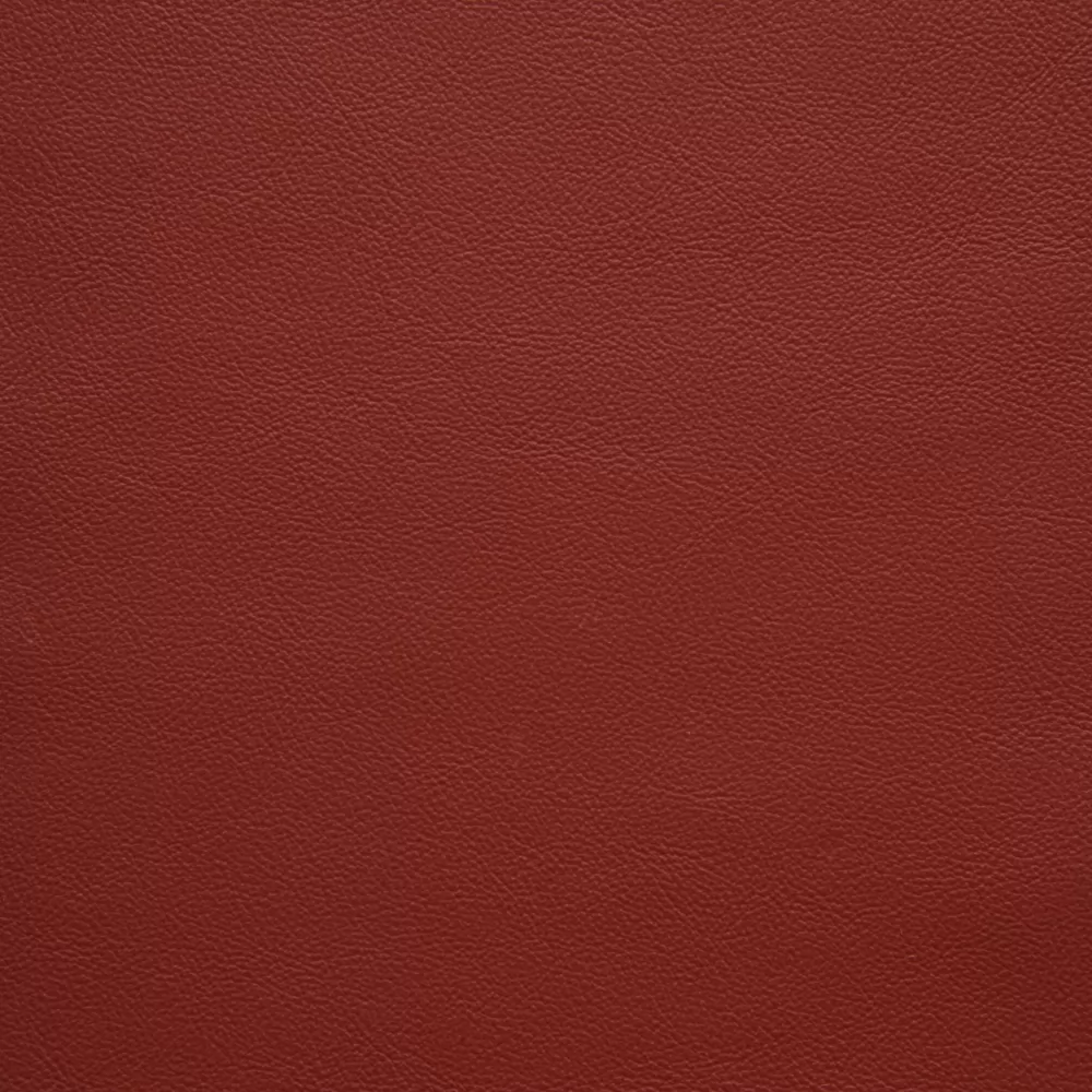 10313 FIRE RED