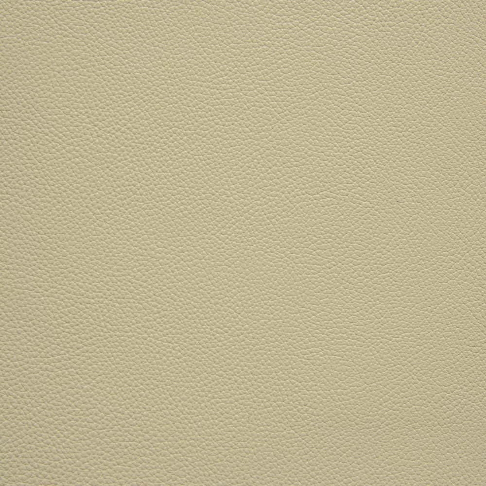 253 PENICILLIN