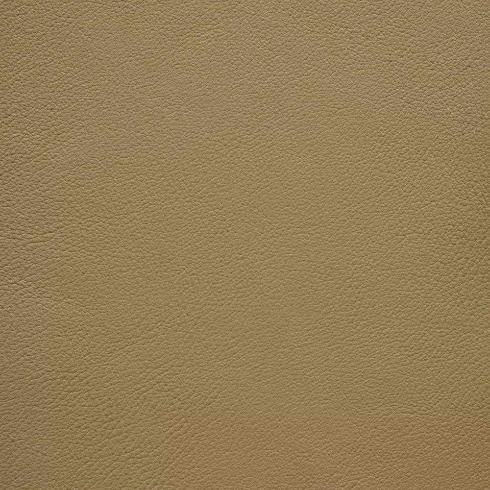 215 AVANA
