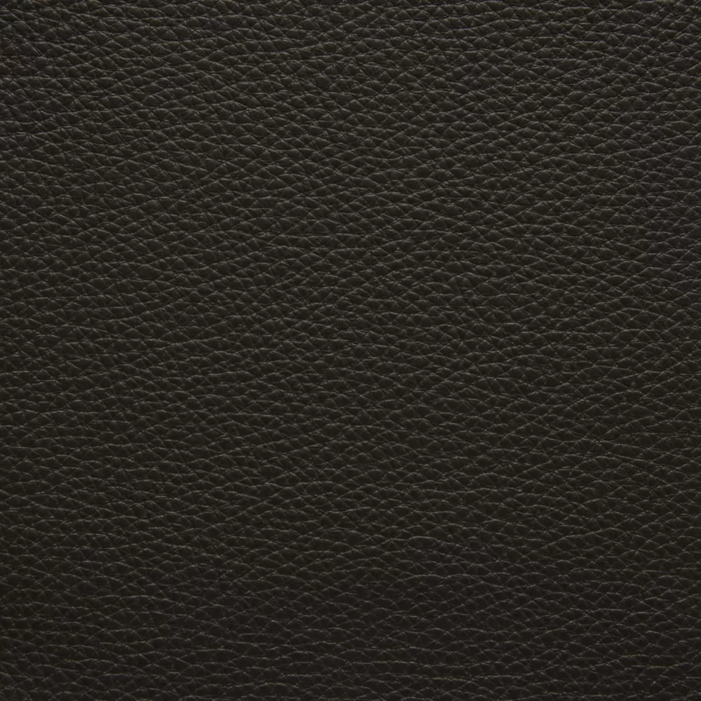 293 EBONY