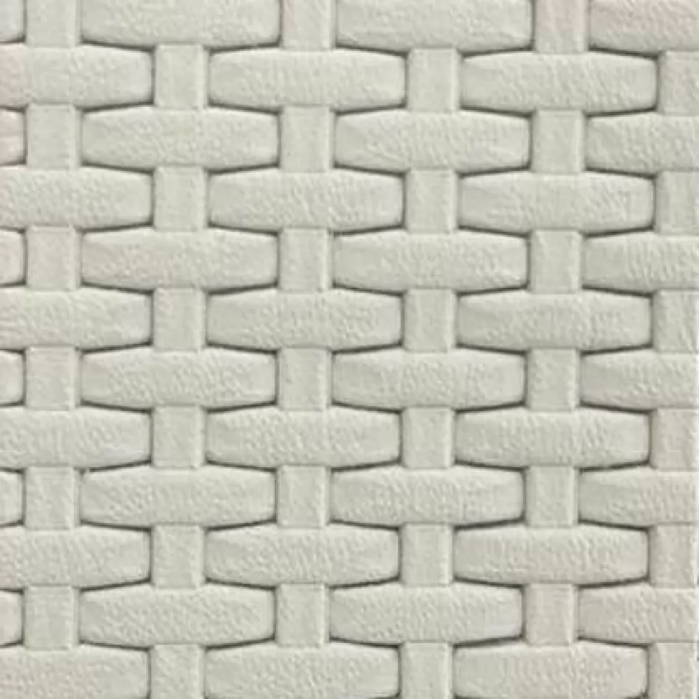PLP-005
