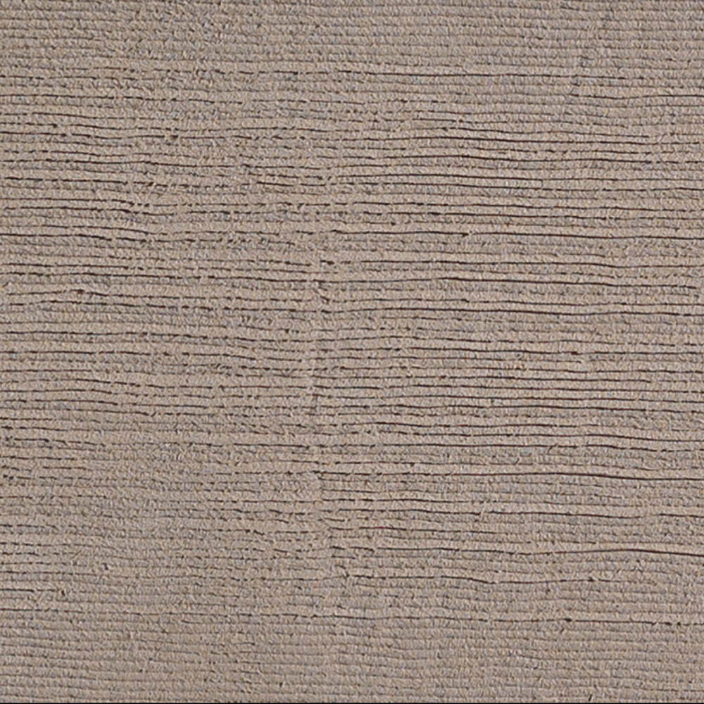 PLV - 005