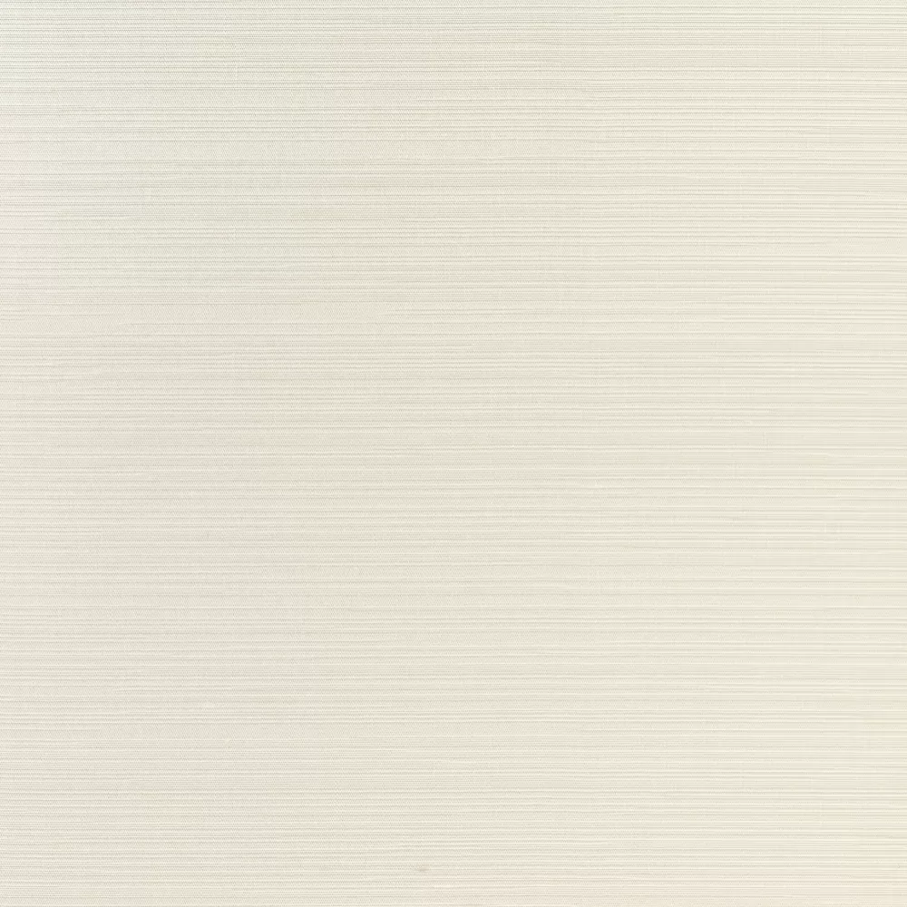 SVS - 2008.02