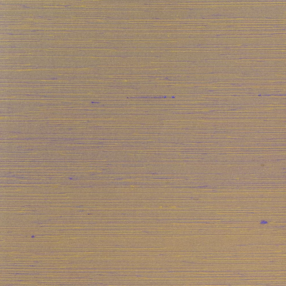 SVS - 2008.15